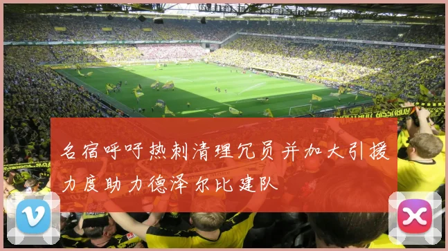 名宿呼吁热刺清理冗员并加大引援力度助力德泽尔比建队