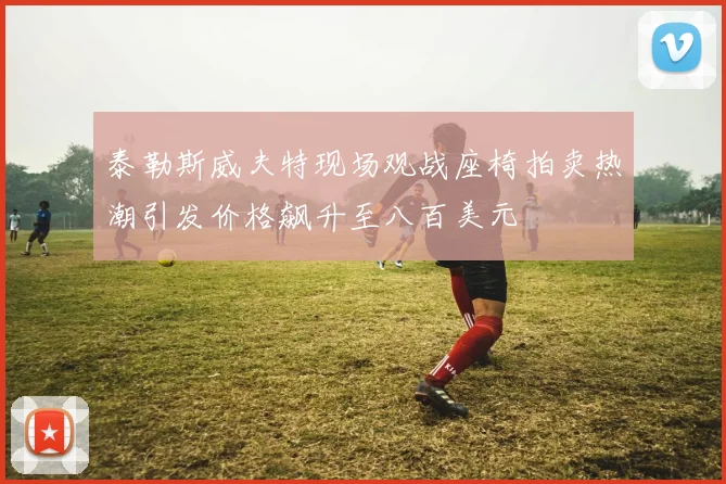 泰勒斯威夫特现场观战座椅拍卖热潮引发价格飙升至八百美元