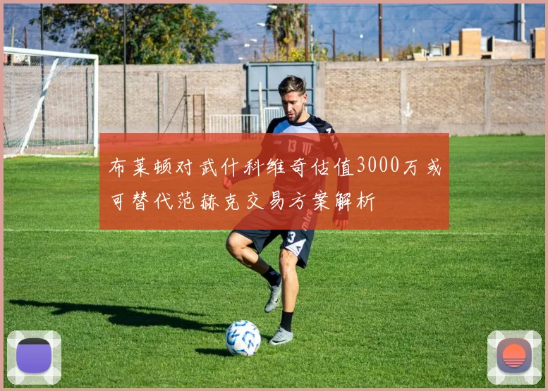 布莱顿对武什科维奇估值3000万或可替代范赫克交易方案解析